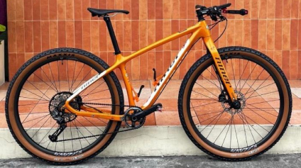 newsletter light bicycle unveiling our 15th anniversary photo champion 20260818143942 c2d752