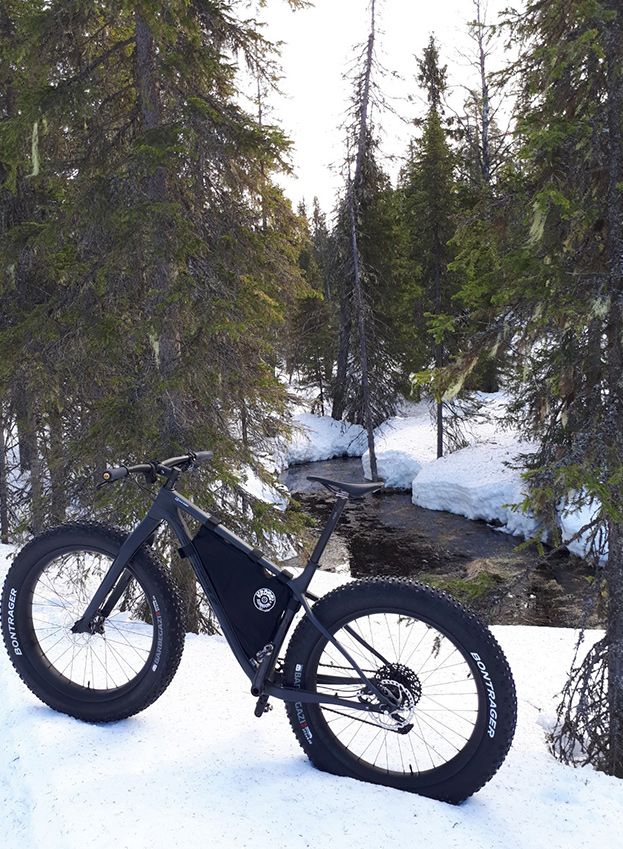 Trek-Farley-9.6-fat-bike-Bontrager-Barbegazi-27.5x4.5-Light-Bicycle-32h-650b-fat-rims-cedar-forest-snows.jpeg