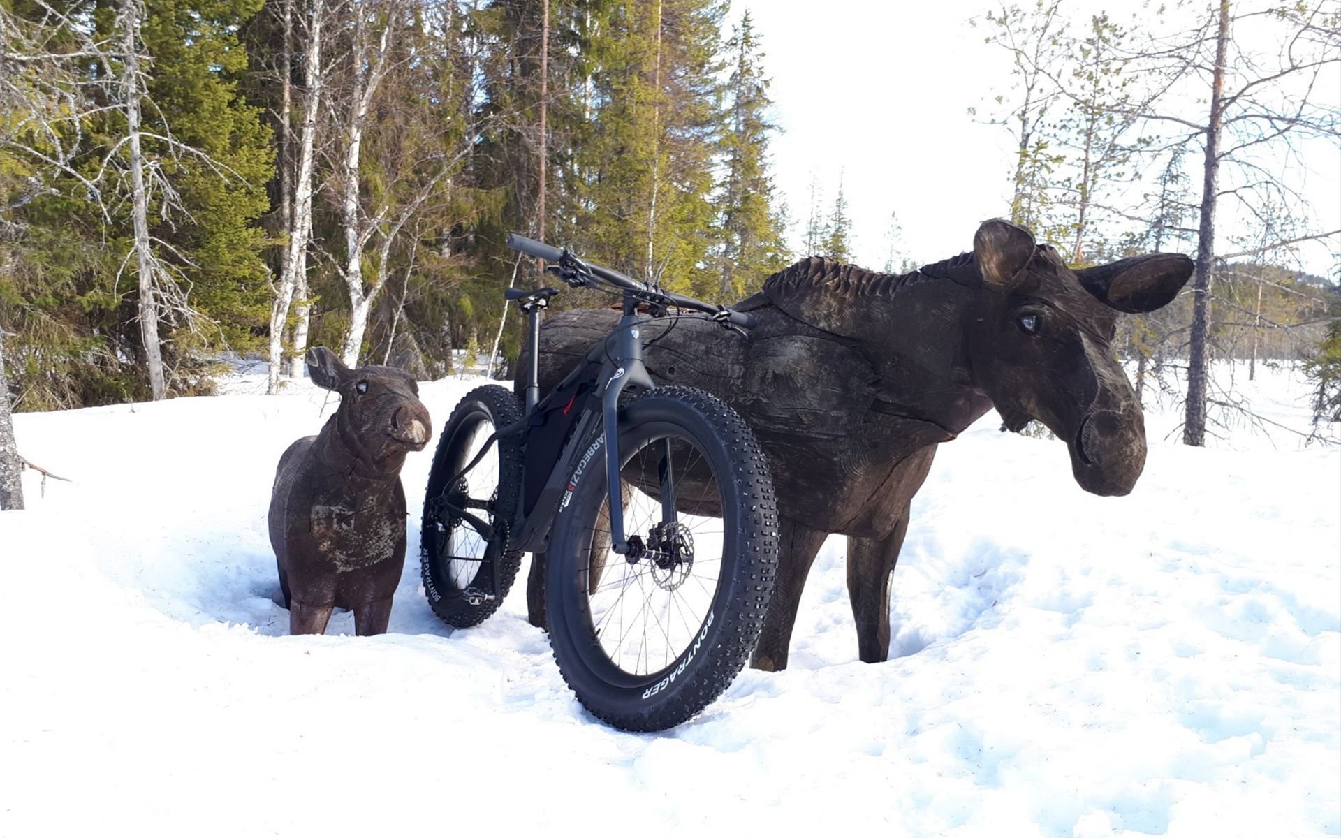 Trke-farley-fatbike-LightBicycle-RSNOW05-carbon-rims-DT-Swiss-competition-race-spokes-bontrager-27.5-4.5-tirs-wood-horses.jpeg