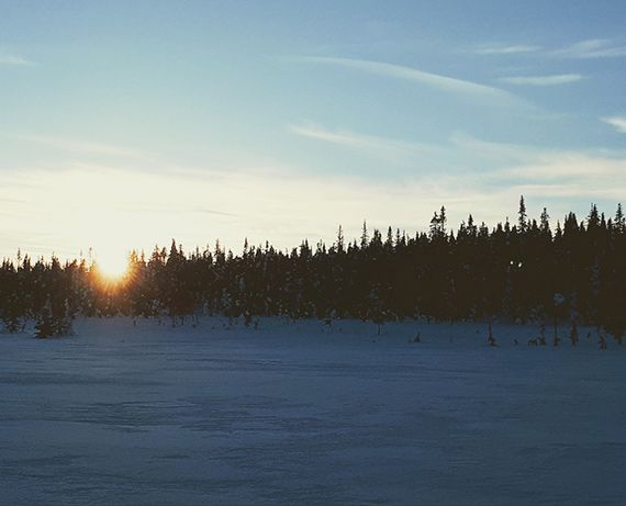 sunrise-after-snow-finland.jpeg