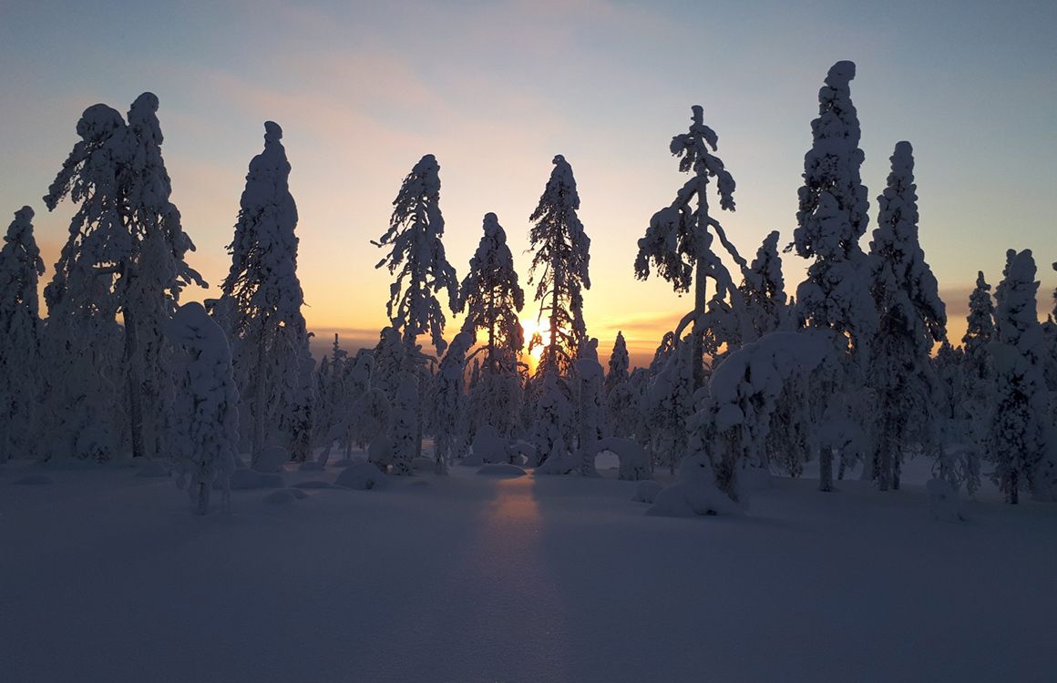 sunrise-beautiful-snowy-world-forest-the-winter-in-finland.jpeg