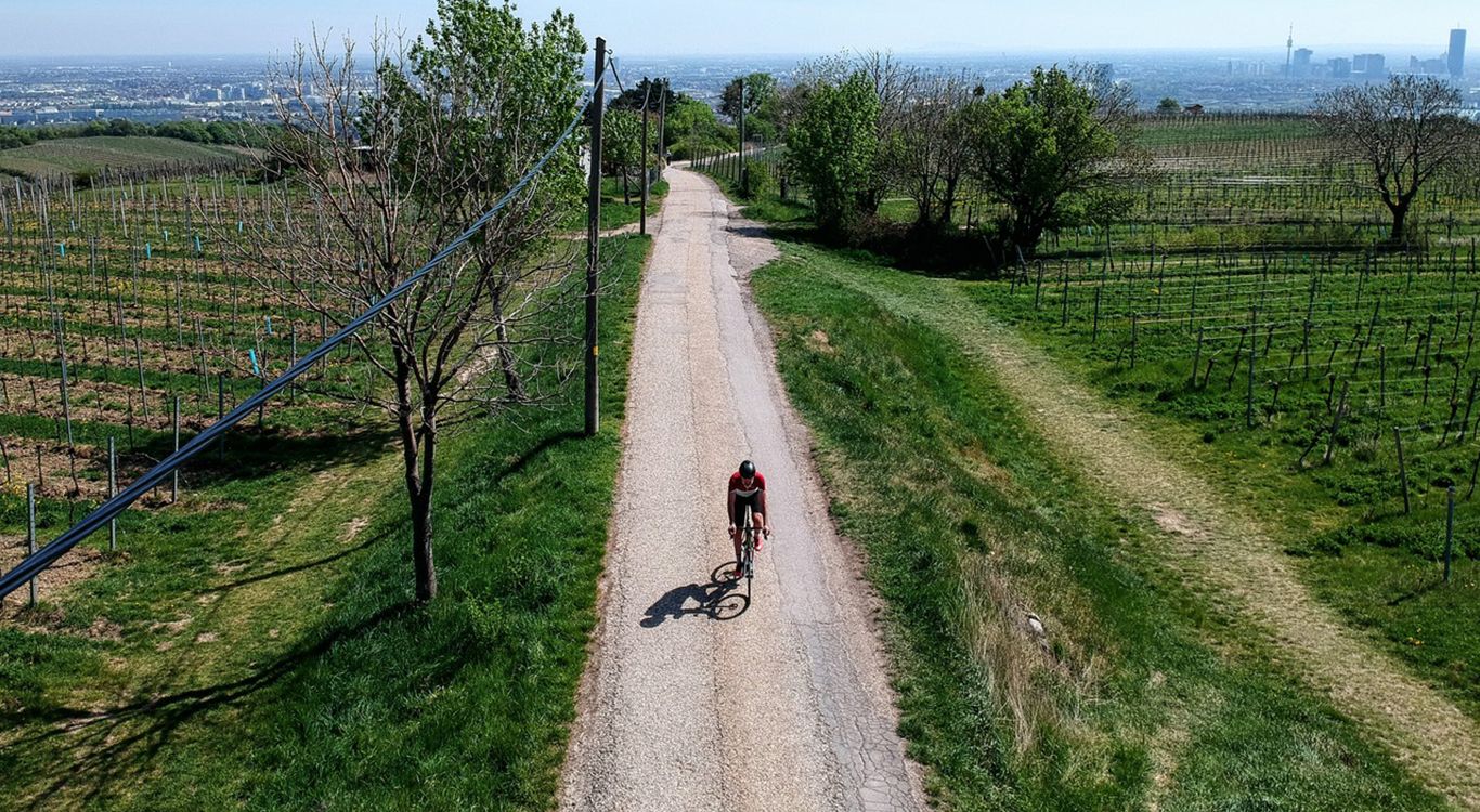 road-rider-on-specialized-allez-sprint-bike-riding-through-the-vineyards.jpeg