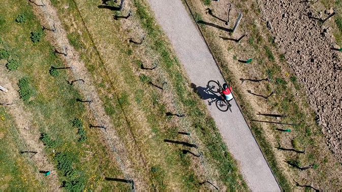 road-riding-up-the-vineyards-in-austria.jpeg