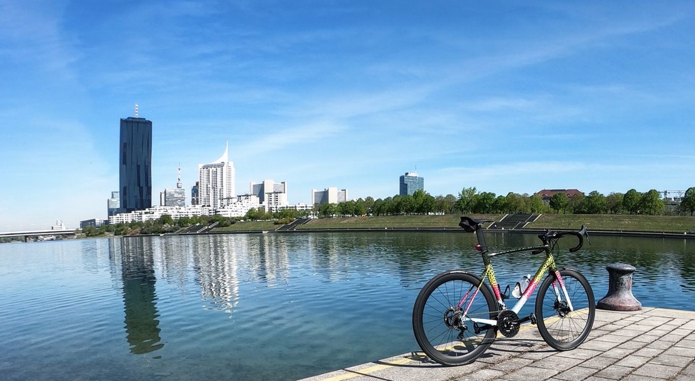 specialized-allez-sprint-custom-road-bike-with-Light-Bicycle-AR46-ud-matte-carbon-wheelset.jpeg