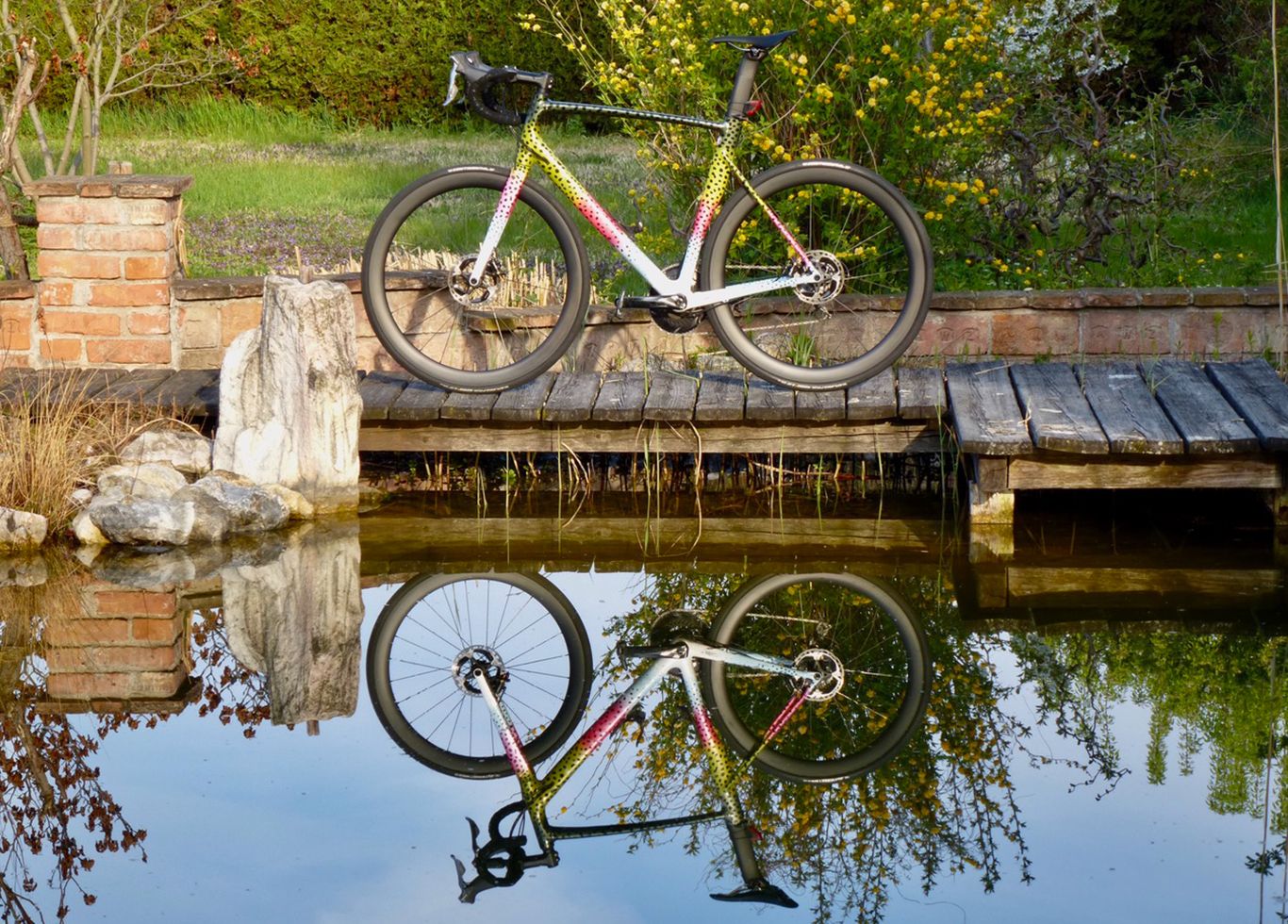 specialized-allez-sprint-road-bike-with-light-bicycle-ar46-carbon-wheelset-by-the-rider.jpeg