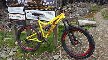 Philip-Escape-Out-Of-The-Wild