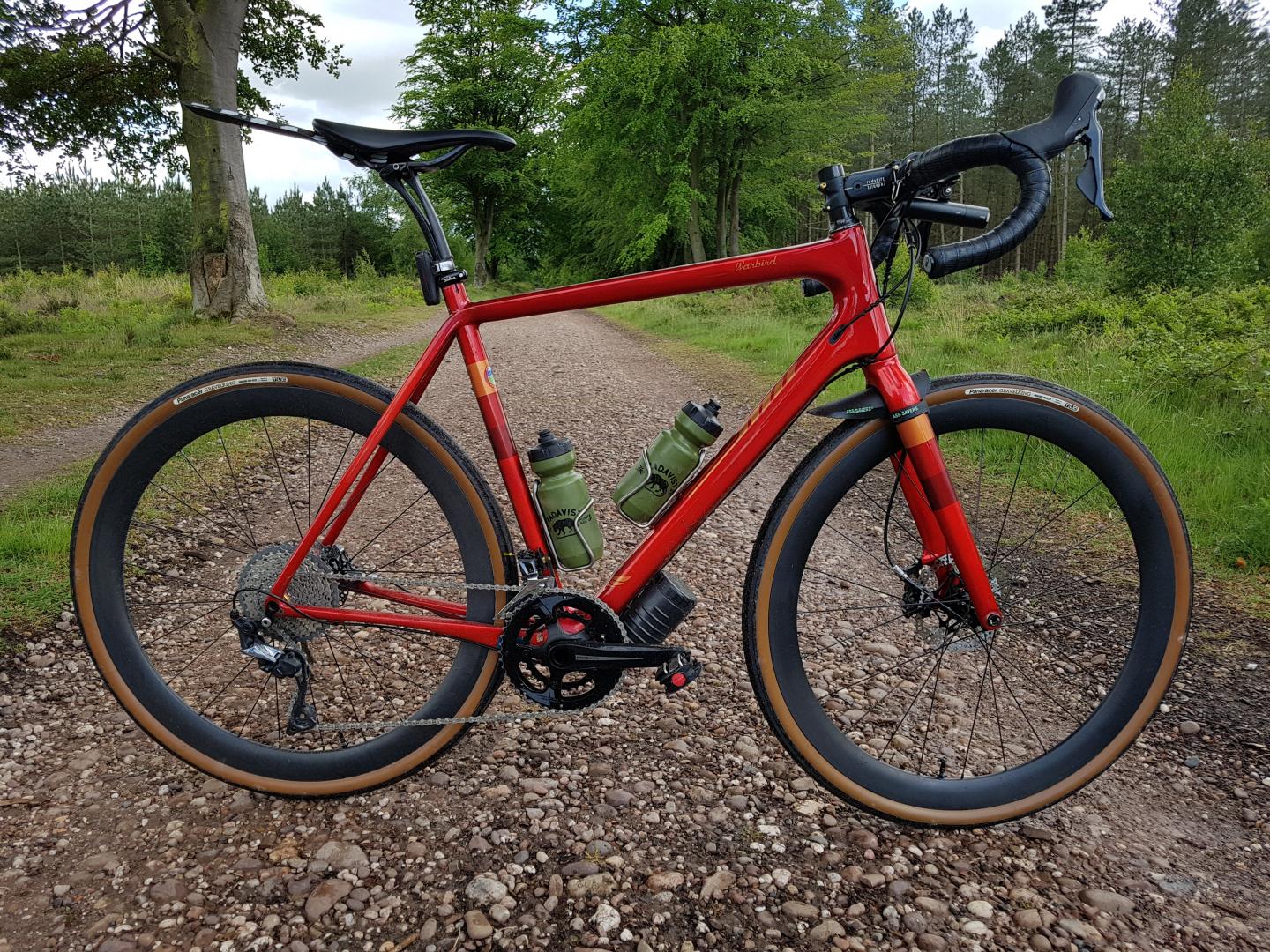 salsa warbird v3