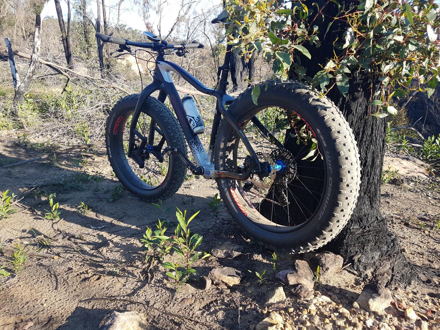 26ER-FS680-carbon-wheelset-on-diamant-fat-bike