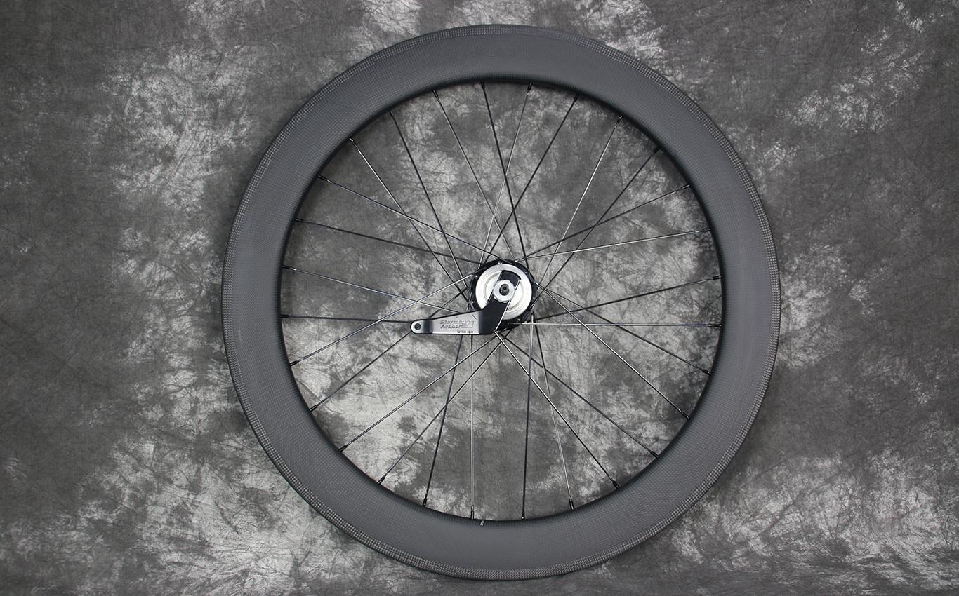 2 speed coaster brake hub