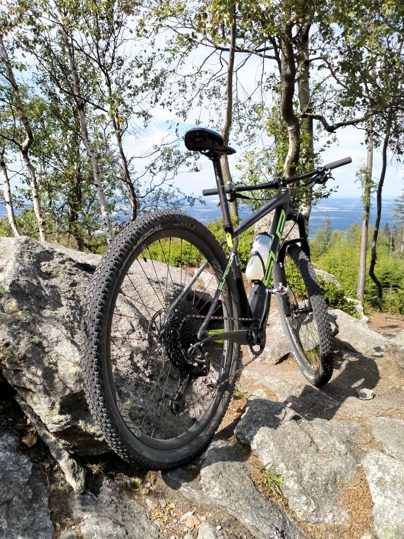 29er-carbon-wheel-rm29c19-rim-vittoria-mezcal-29-2.1-mtb-tire-rear