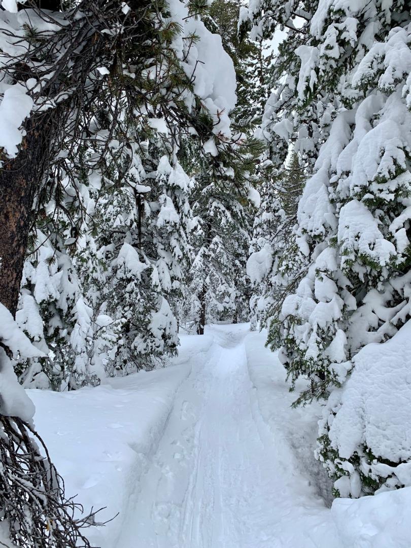 fat-bike-trails