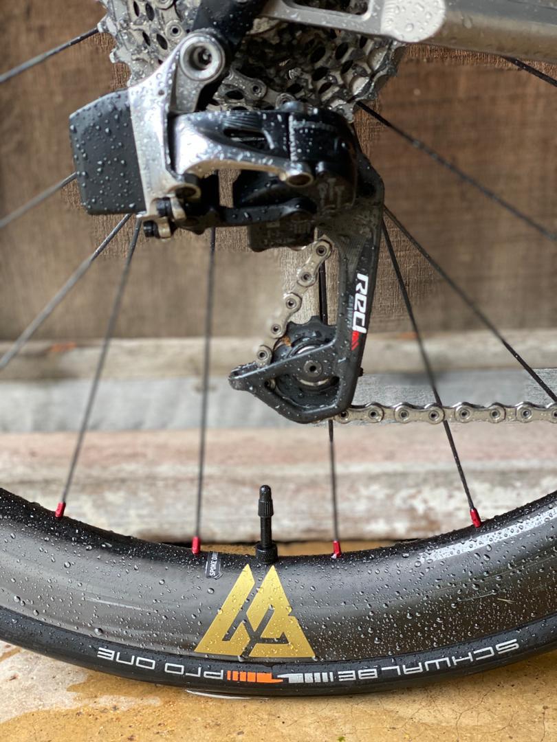 light-bicycle-wr50-paintless-carbon-rim-with-golden-valve-decal-red-spoke-nipples