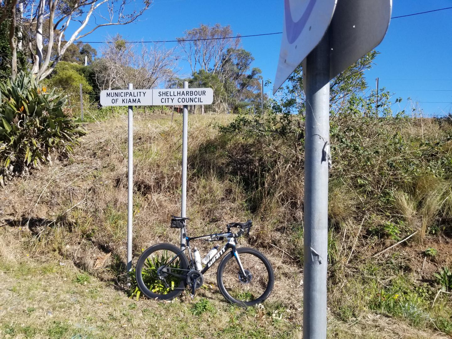 WR45 & AR56 Disc Review Mixed Wheels On Giant Defy Advanced