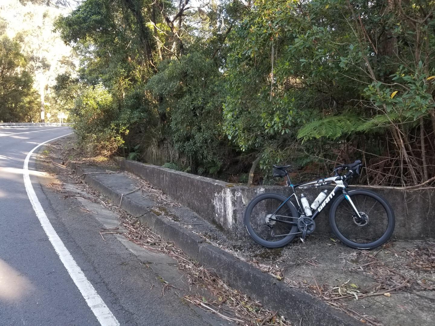 WR45 & AR56 Disc Review Mixed Wheels On Giant Defy Advanced