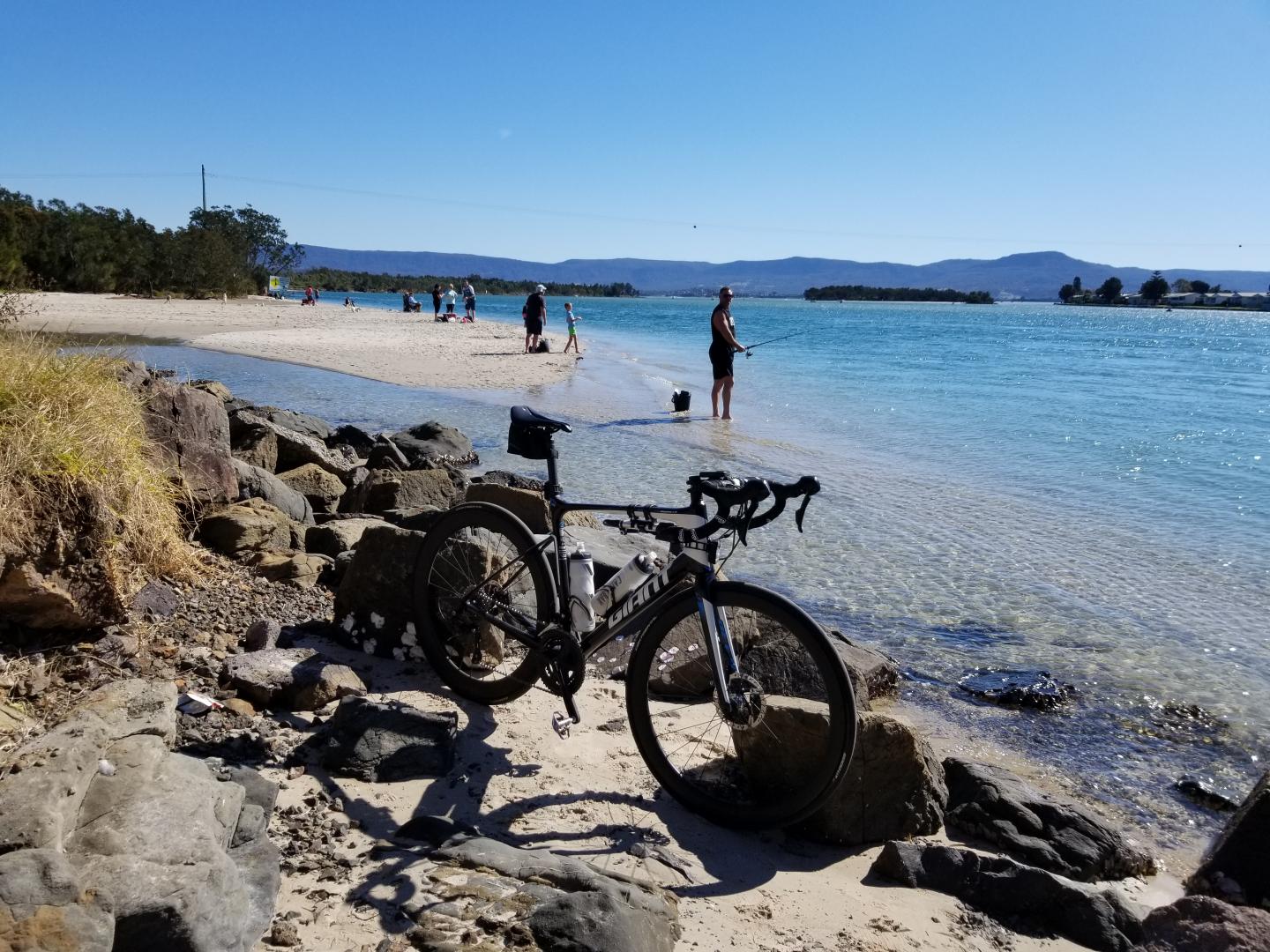 WR45 & AR56 Disc Review Mixed Wheels On Giant Defy Advanced