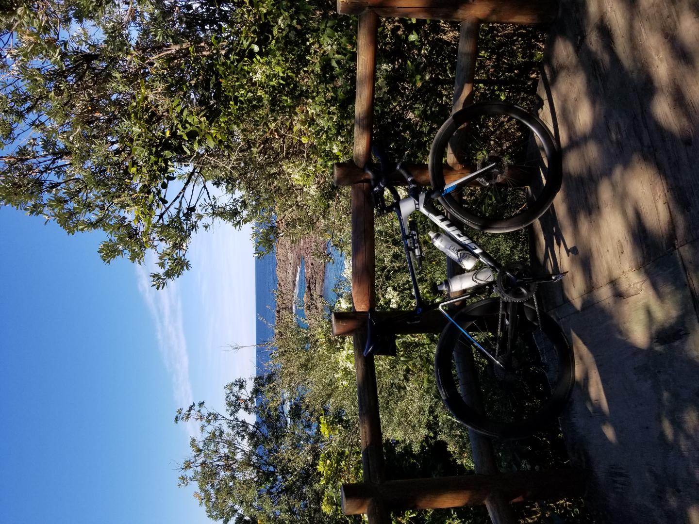 WR45 & AR56 Disc Review Mixed Wheels On Giant Defy Advanced