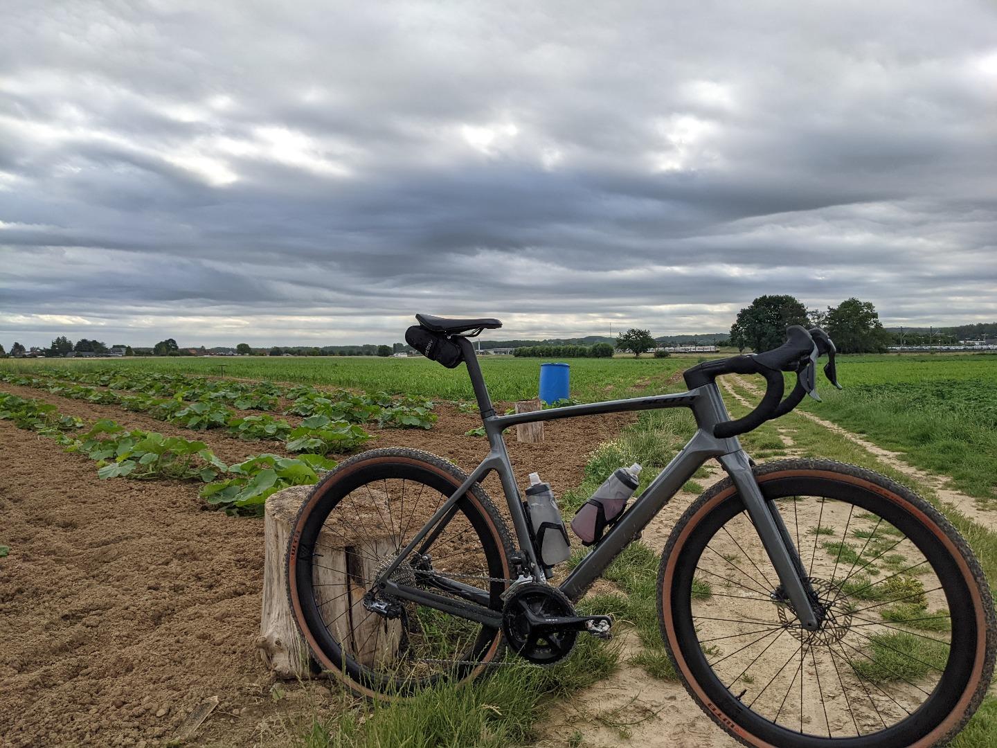WR45 Disc Review Carbon Gravel Wheels for Scott Addict Gravel