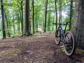 down-country-mtb-singletrack-trails