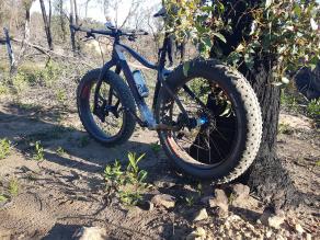 26er-FS680-on-diamant-fat-bike