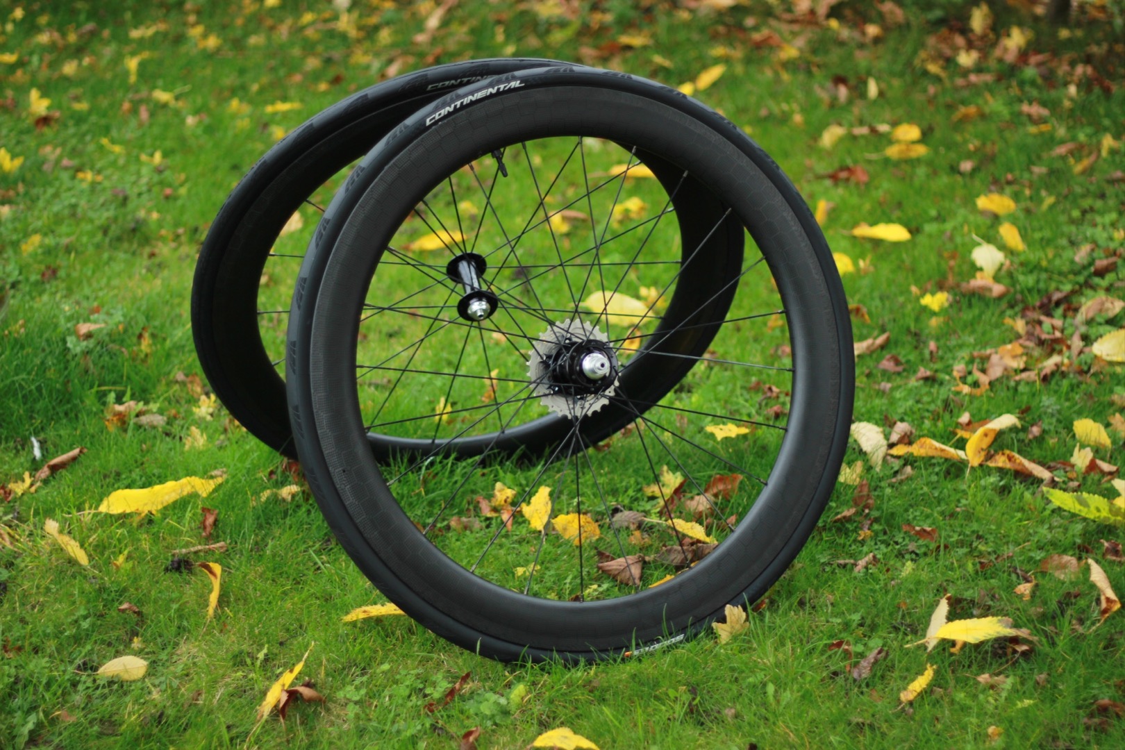 Shimano r55 weight hotsell