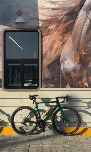 light-bicycle-ar375-disc-ar465-disc-review-3-years-2-happy-riders-zero-complaints
